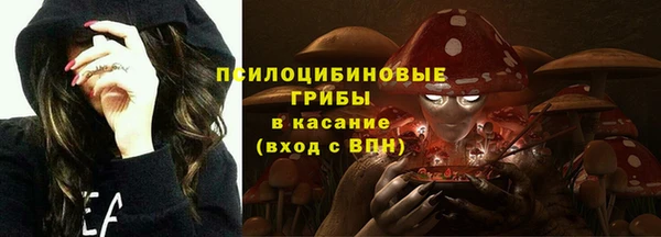 spice Беломорск