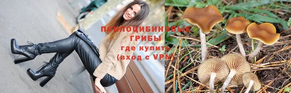 спиды Белокуриха