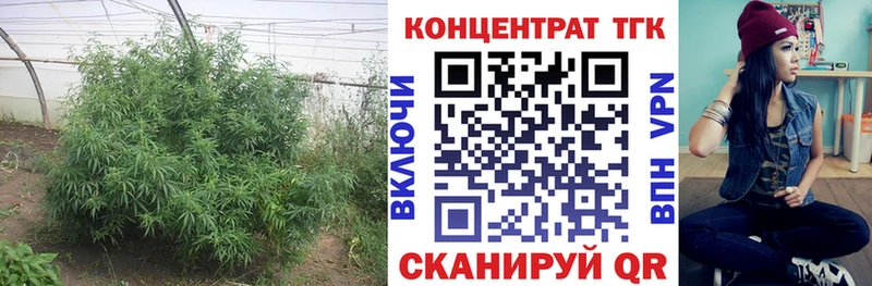 ТГК концентрат  ссылка на мегу зеркало  Данков 